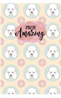 You're Amazing