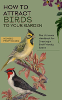 How to Attract Birds to Your Garden
