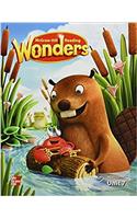 Reading Wonders Reading/Writing Workshop Volume 7 Grade K: (Elementary Core Reading)