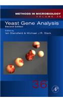 Yeast Gene Analysis