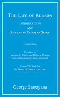 Life of Reason, critical edition, Volume 7