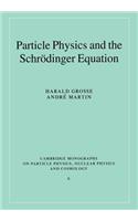 Particle Physics and the Schrödinger Equation