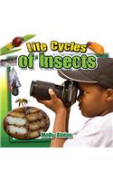 Life Cycles of Insects