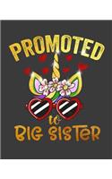 Promoted To Big Sister
