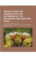 Report Upon the Surveys for the Extension of the Baltimore and Ohio Rail Road; To Wheeling and Pittsburg: (English)