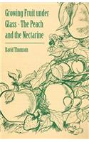Growing Fruit under Glass - The Peach and the Nectarine