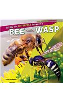 Tell Me the Difference Between a Bee and a Wasp