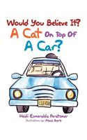 Would You Believe It? a Cat on Top of a Car?