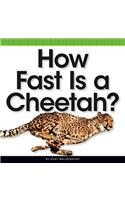How Fast Is a Cheetah?: (Comparison Fun)
