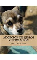 Adopción De Perros Y Formación