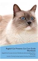 Ragdoll Cat Presents