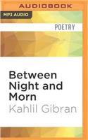 Between Night and Morn
