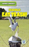 Seagulls Eat Trash!