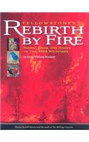 Yellowstone's Rebirth by Fire: Rising from the Ashes of the 1988 Wildfires