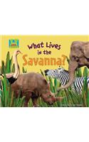 What Lives in the Savanna?