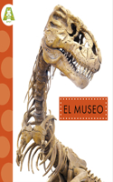 El Museo
