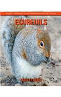 Ecureuils: Images étonnantes et faits amusants pour les enfants
