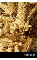 Notebook: Maíz, Orejas, Agricultura, Cosecha Cuaderno / Diario / Libro de escritura / Notas - 6 x 9 pulgadas (15.24 x 22.86 cm), 150 páginas, superficie brill