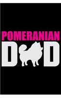 Pomeranian Dad