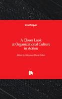 A Closer Look at Organizational Culture in Action
