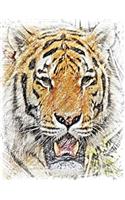 Notebook: Tiger Drawing Animal Big Cat 8.5 X 11 202 Lined Pages