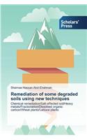 Remediation of some degraded soils using new techniques