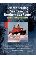 Remote Sensing of Sea Ice in the Northern Sea Route