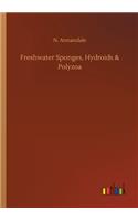 Freshwater Sponges, Hydroids & Polyzoa