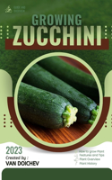Zucchini: Guide and overview