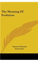 The Meaning Of Evolution