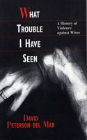 What Trouble I Have Seen: A History of Violence against Wives(History of Violence Against Wives)