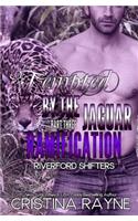 Tempted by the Jaguar #3: Ramification (Riverford Shifters)