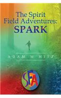 Spirit Field Adventures