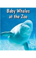 Baby Whales at the Zoo