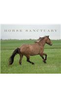 Horse Sanctuary