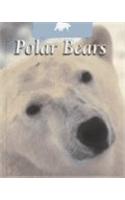 Polar Bears