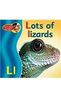 Lots of Lizards