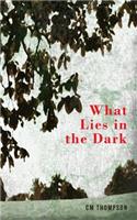 What Lies in the Dark