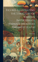 Figures Illustrating the Structure of Various Invertebrate Animals, (Mollusks and Articulata)