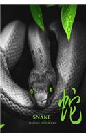 Martial Notebooks SNAKE