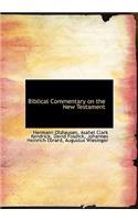 Biblical Commentary on the New Testament