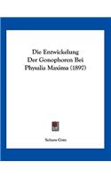 Die Entwickelung Der Gonophoren Bei Physalia Maxima (1897)