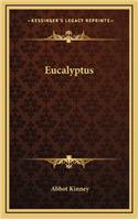 Eucalyptus