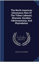 The North American Ichneumon-flies Of The Tribes Labenini, Rhyssini, Xoridini, Odontomerinia, And Phytodietini