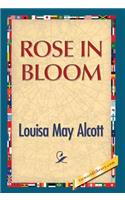 Rose in Bloom: (English)