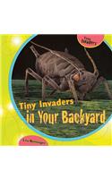 Tiny Invaders in Your Backyard