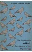 Fertilization and Early Development of the Pigeon's Egg