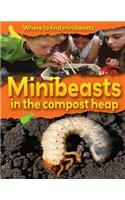 Minibeasts in the Compost Heap