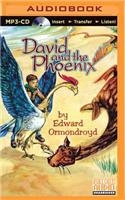 David and the Phoenix