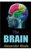 The Brain